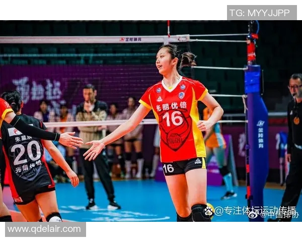 权威发布：2023年全球排球实力排行榜全面解析与前景展望